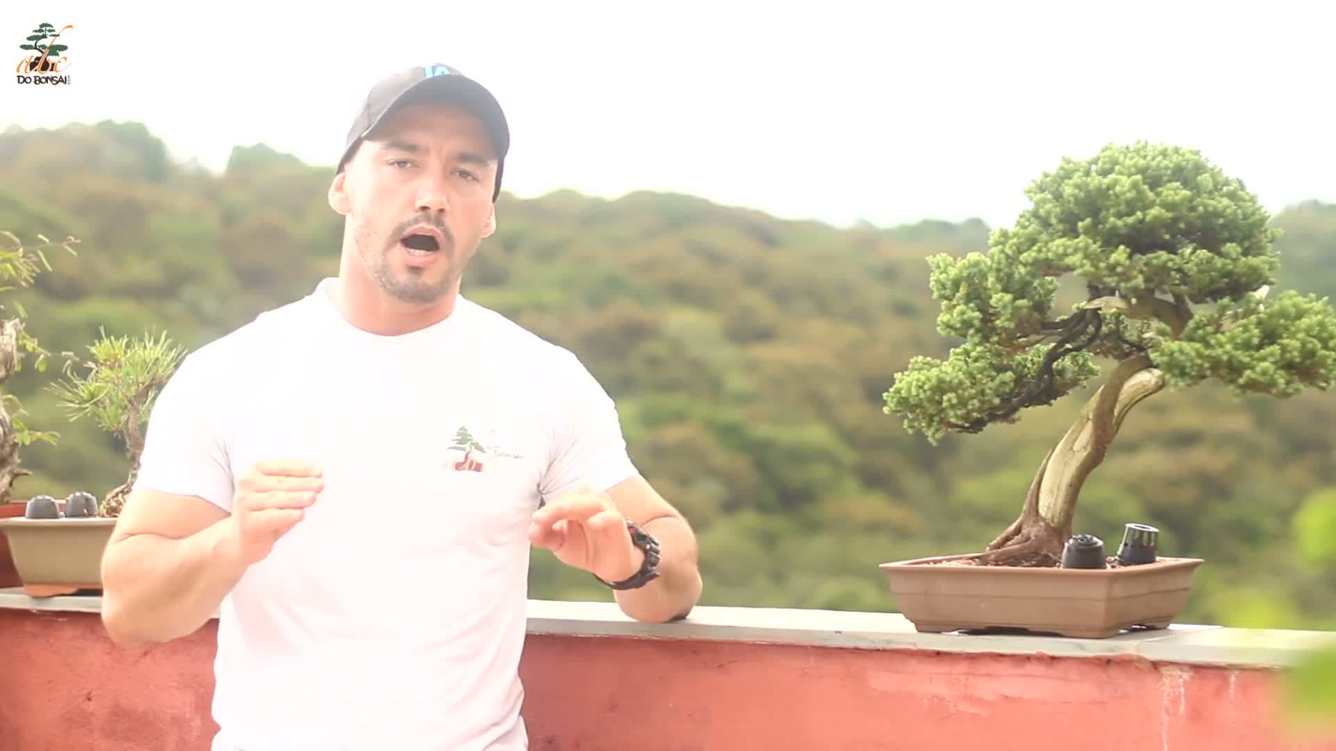 Curso Completo de Bonsai On Line para Iniciantes - Mac Fernandes