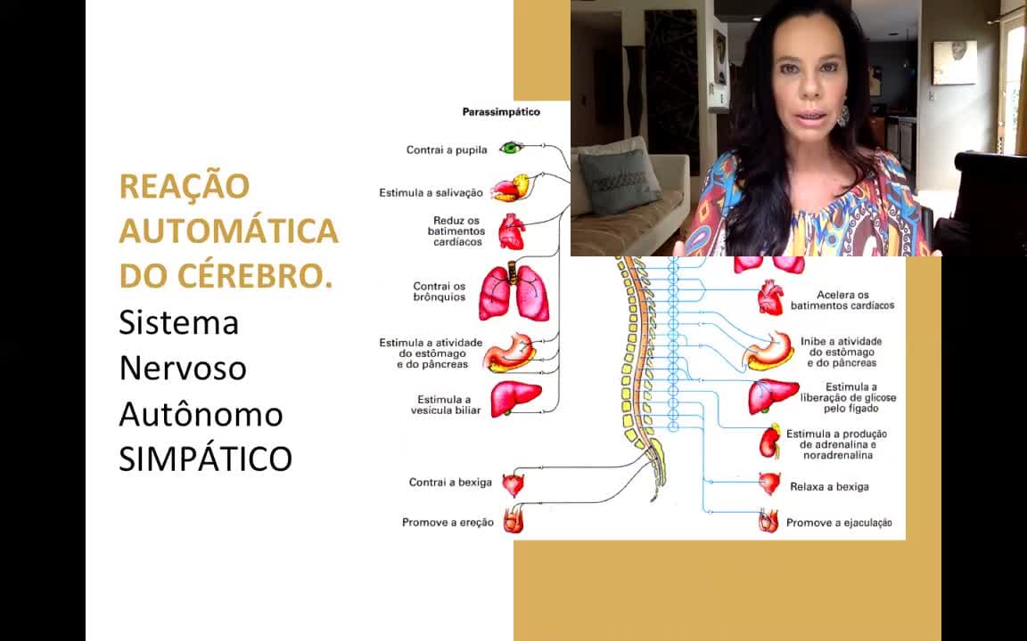 Código Cerebral da Riqueza - Decifre o poder do seu cérebro para enriquecer