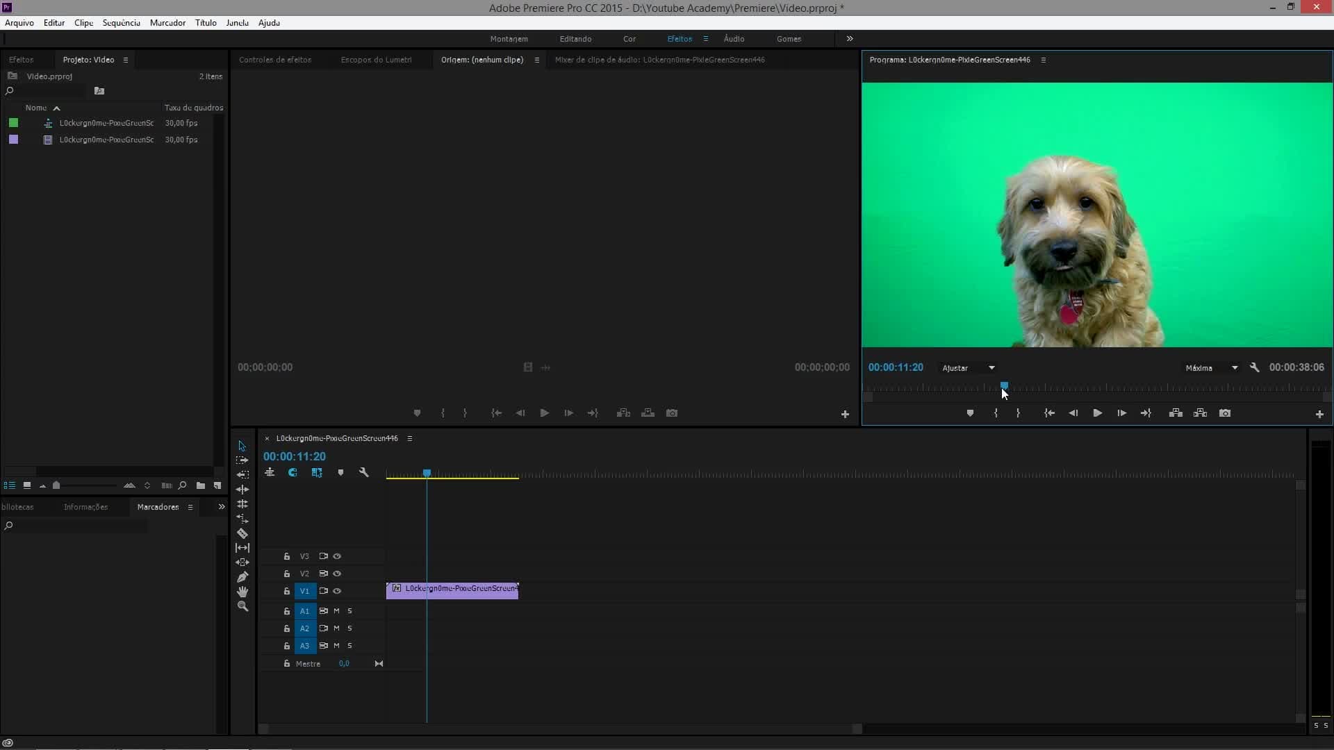 Youtube Academy - Denis Bai