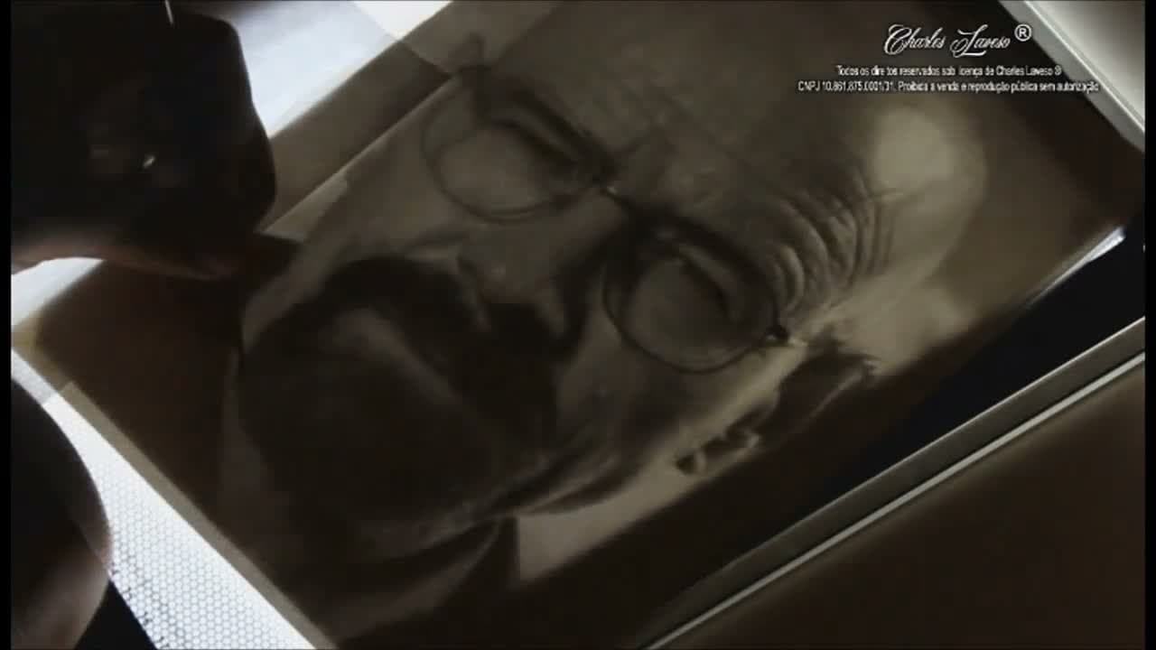 Curso de Desenhos Realistas - Charles Laveso